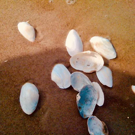 Hotel Alter Bahnhof Garni 3*