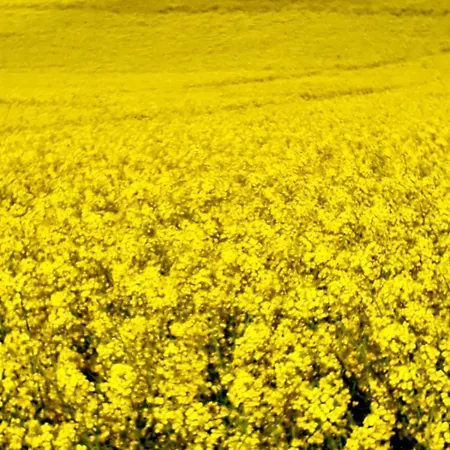 酒店 Alter Bahnhof Garni