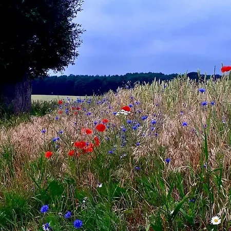 Alter Bahnhof Garni 3*