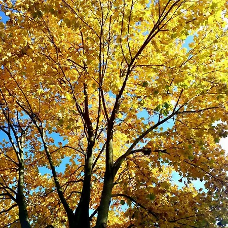 Alter Bahnhof Garni 普雷罗