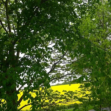 Hotel Alter Bahnhof Garni 3*